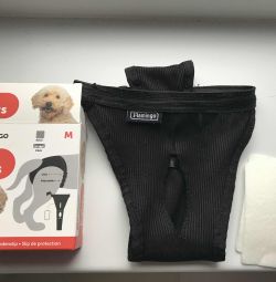 Briefs for dogs